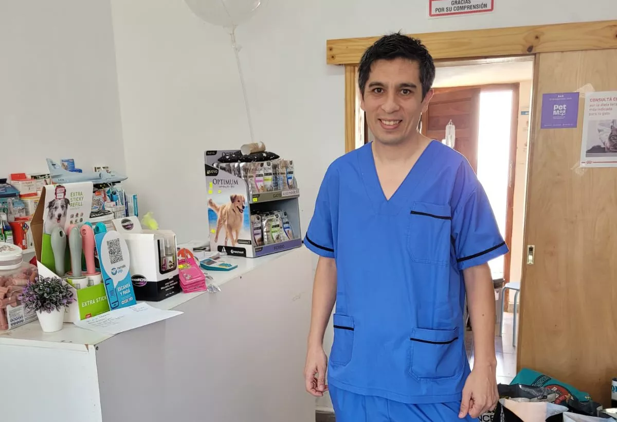 Nicolas Fernandez Voigh