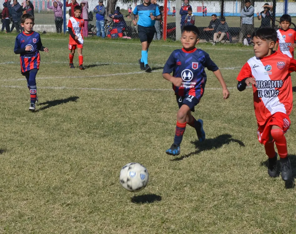 WhatsApp Image 2024-05-12 at 16.46.34 (2)