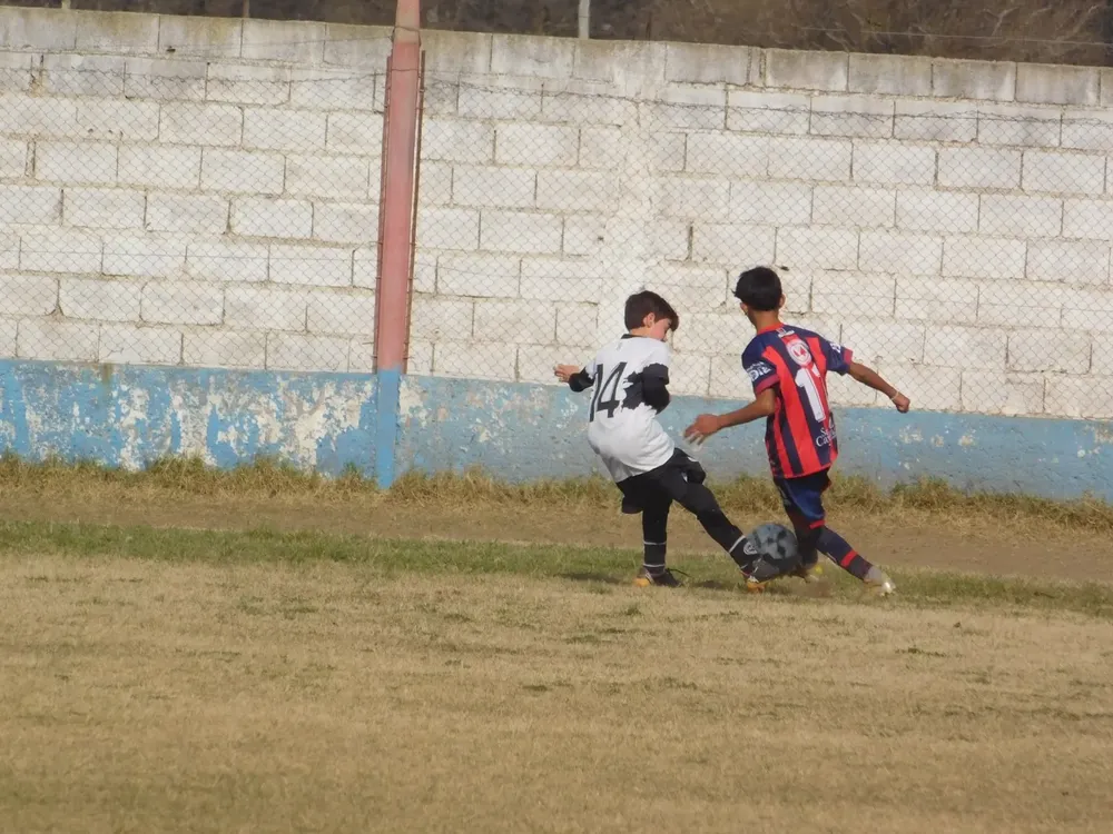 WhatsApp Image 2024-08-19 at 15.07.52 (23)