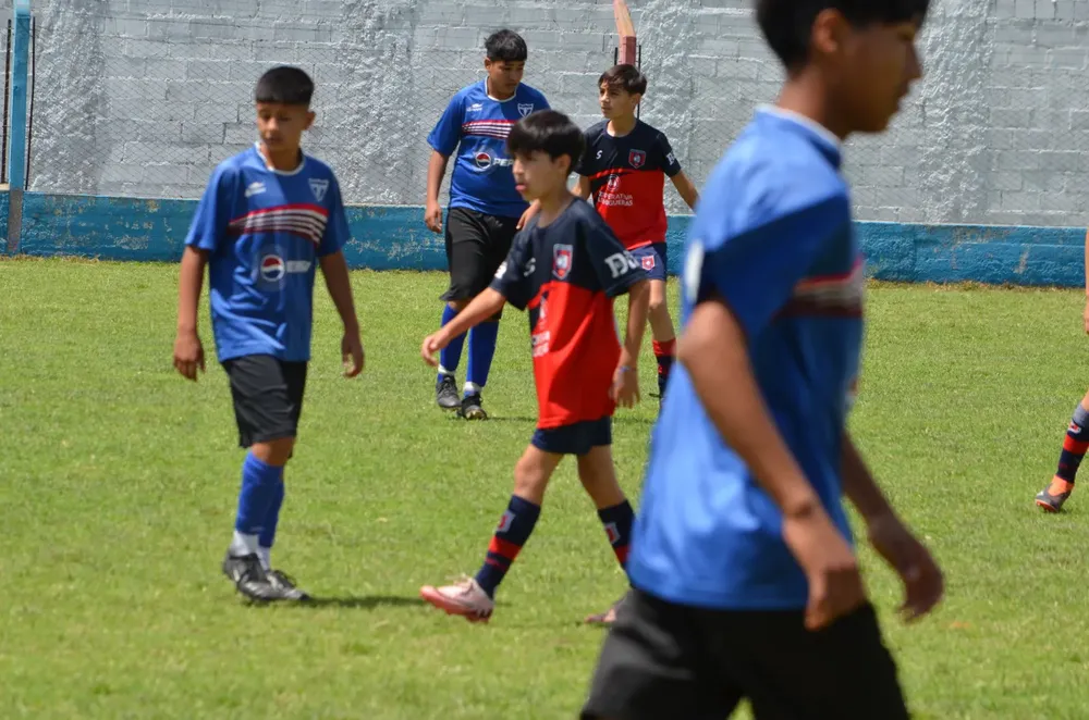 WhatsApp Image 2024-11-04 at 19.37.12 (5)