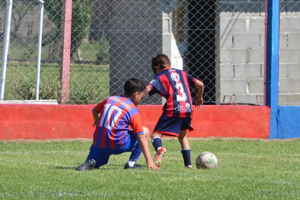 IMG-20251028-WA0102