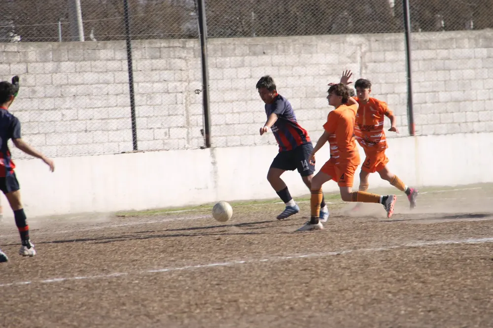 Centro Social Infanto Juvenil Renato Cesarini Olaeta Socialeritas (140)