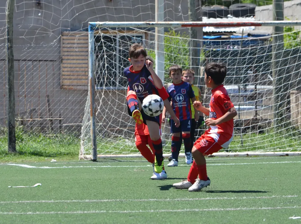 WhatsApp Image 2024-10-28 at 18.43.24 (1)