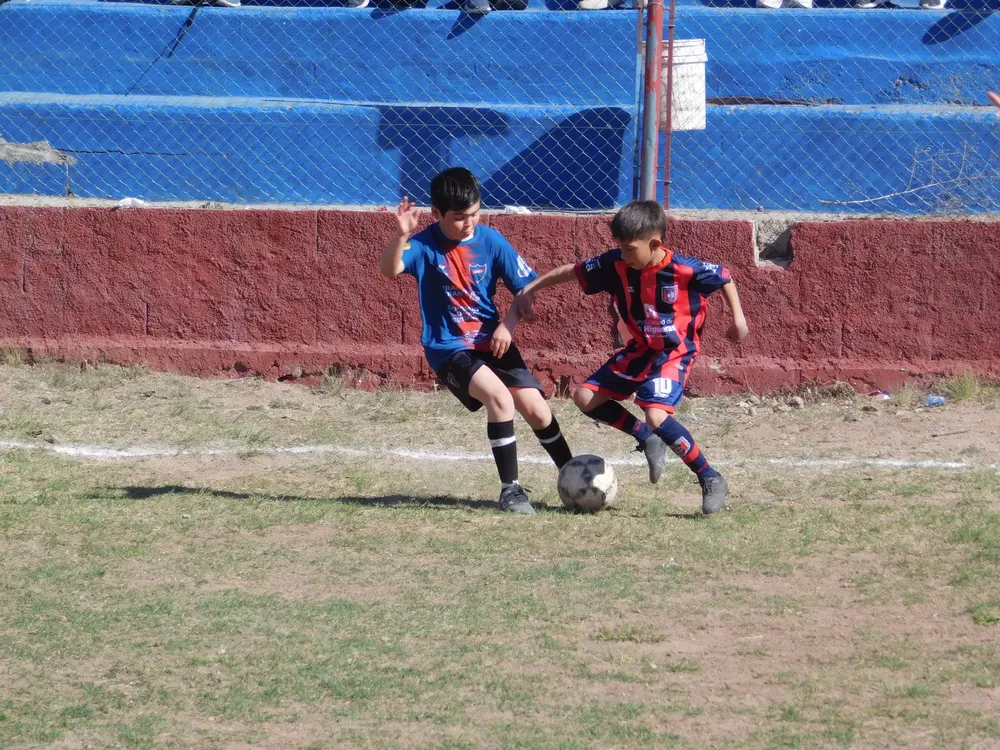 WhatsApp Image 2024-09-16 at 21.42.02 (15)