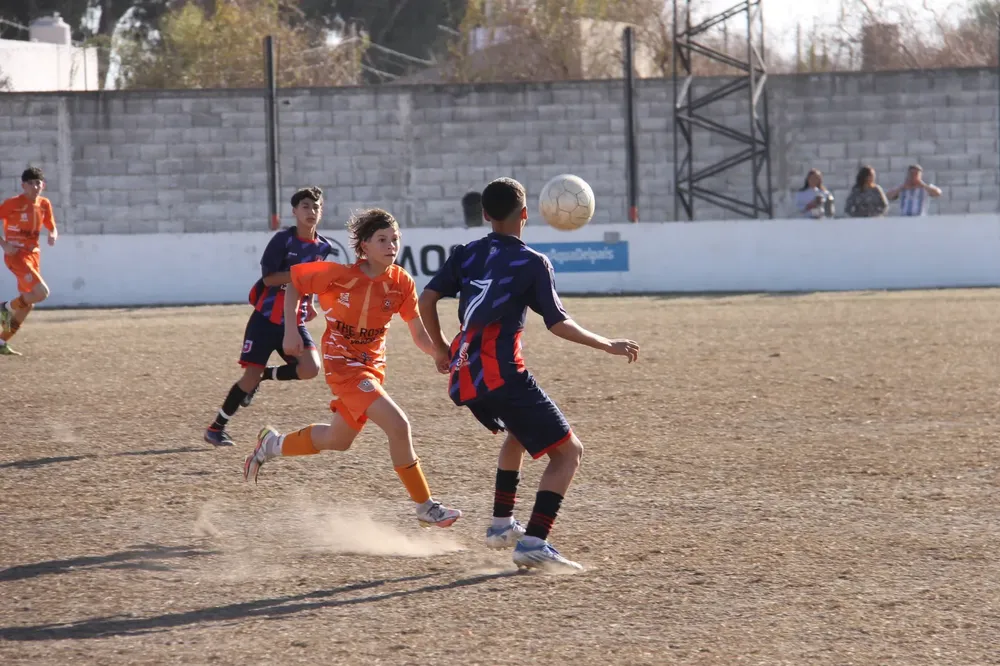 Centro Social Infanto Juvenil Renato Cesarini Olaeta Socialeritas (157)