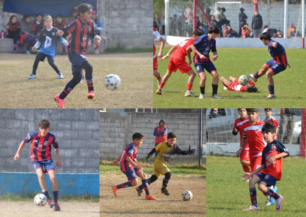 WhatsApp Image 2024-08-19 at 17.39.47