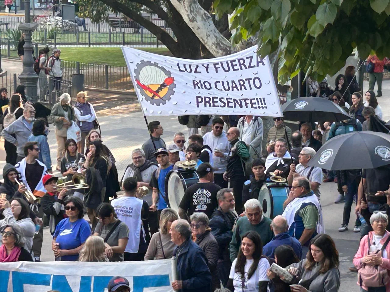 MARCHA (19)