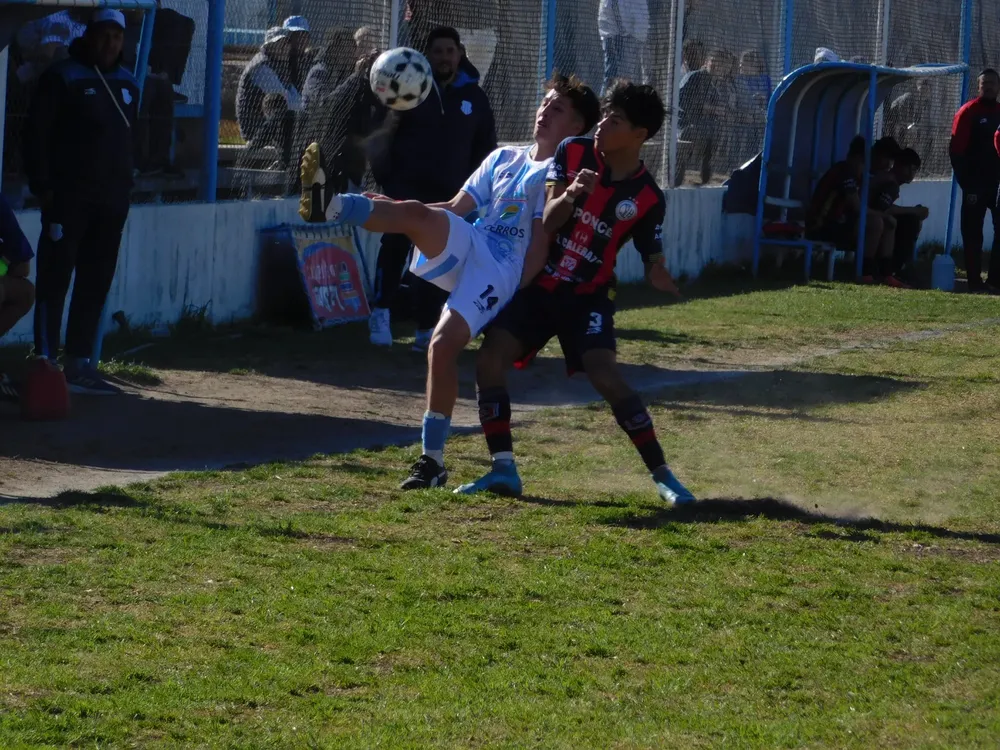 WhatsApp Image 2024-08-11 at 20.44.03