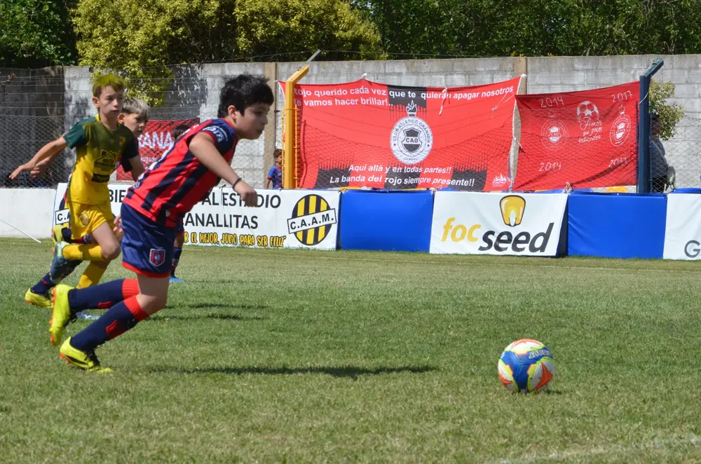 WhatsApp Image 2025-11-08 at 20.54.12 (3)