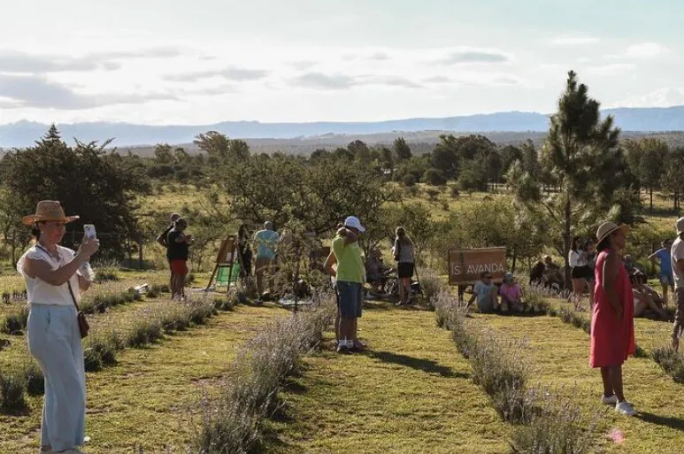Captura de pantalla 2024-11-03 163716