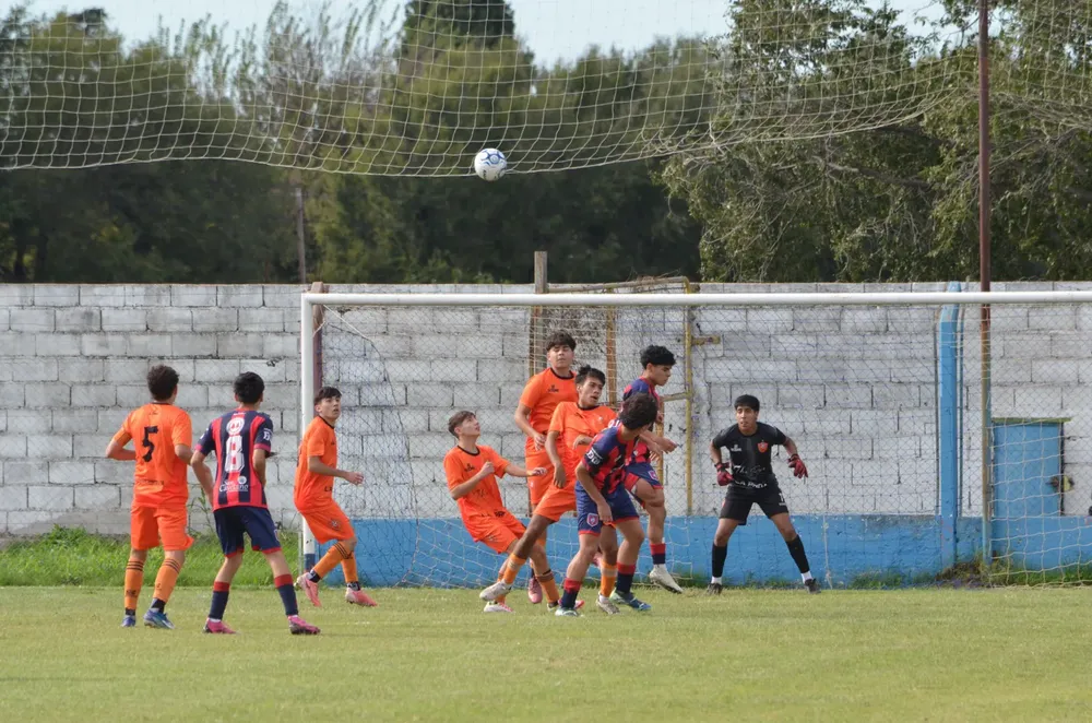 WhatsApp Image 2025-03-31 at 16.37.57 (1)