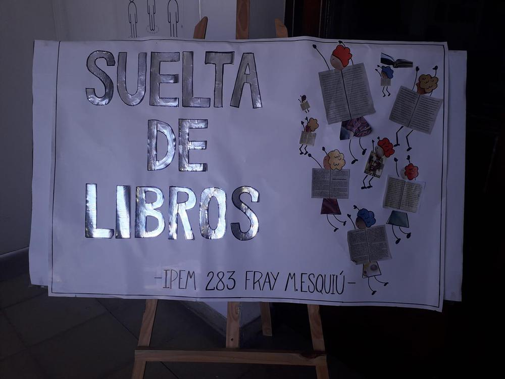 SUELTA DE LIBROS (5)