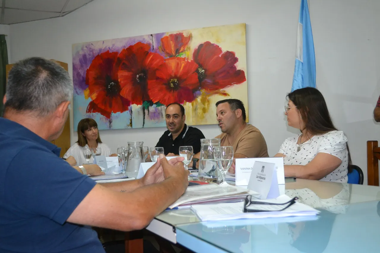 Concejo Deliberante (8)