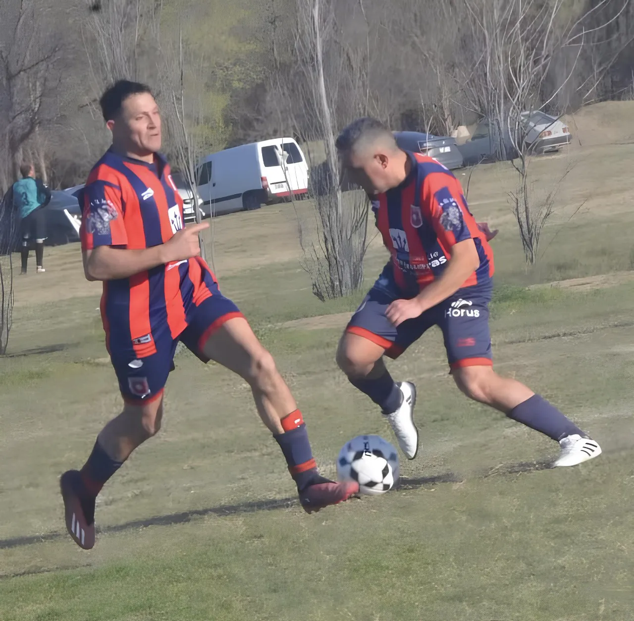profes +40