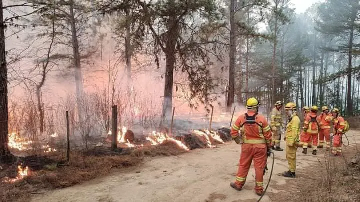 INCENDIO