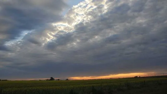 v_230298_38593044