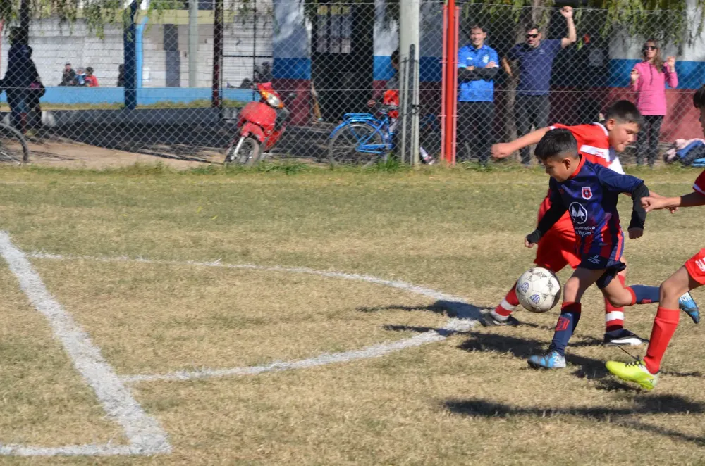Centro Social Sp Municipal Confraternidad Infanto Juvenil (30)