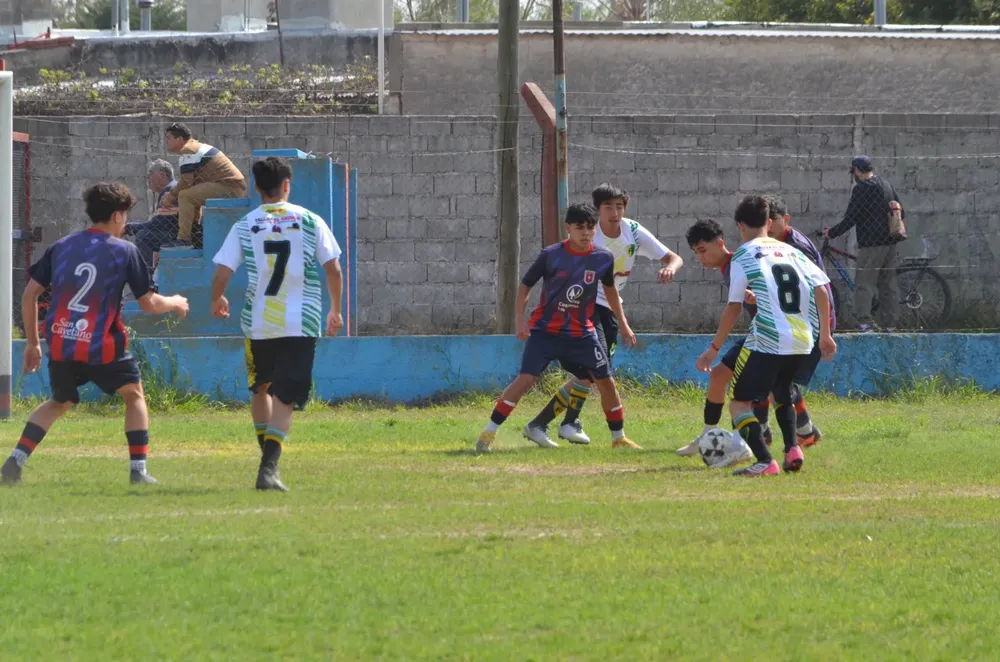 WhatsApp Image 2024-09-23 at 16.31.13 (4)