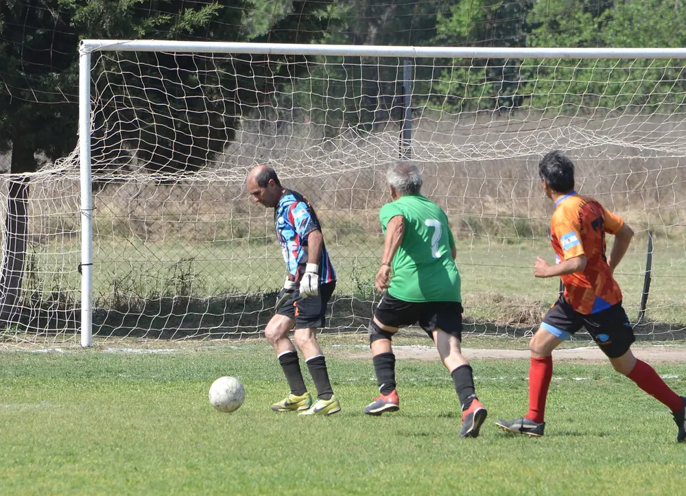 WhatsApp Image 2024-09-26 at 16.50.36