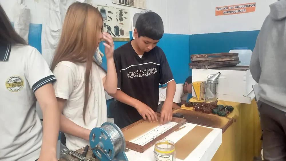 MUESTRA EDUCATIVA (7)