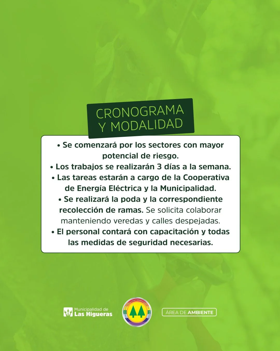 WhatsApp Image 2026-04-28 at 12.39.59 (1)