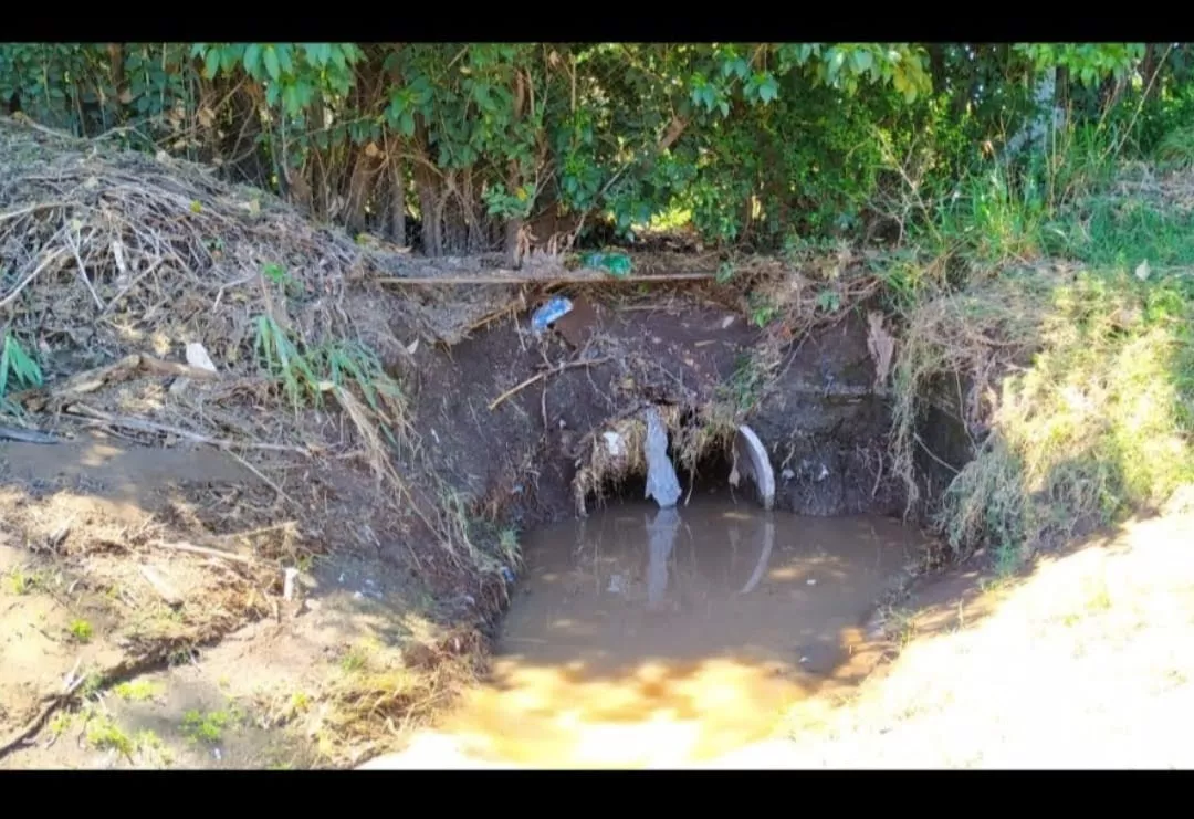 WhatsApp Image 2022-06-21 at 11.42.04 PM