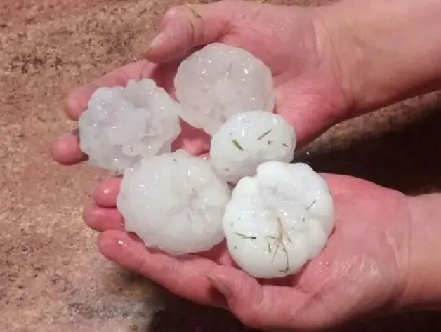 granizoo
