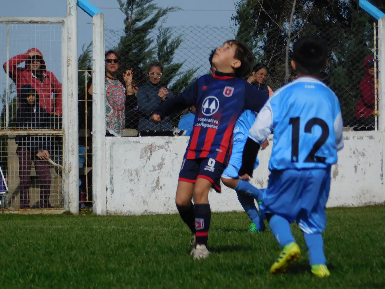 Centro Social Deportivo Municipal Acción Juvenil Socialeritas (10)