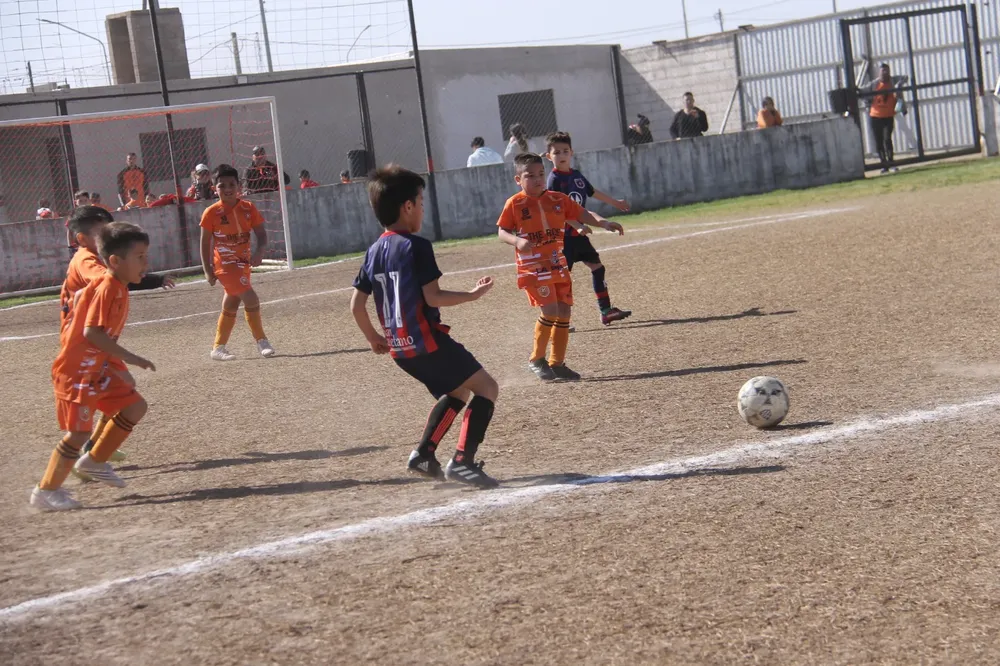 Centro Social Infanto Juvenil Renato Cesarini Olaeta Socialeritas (37)