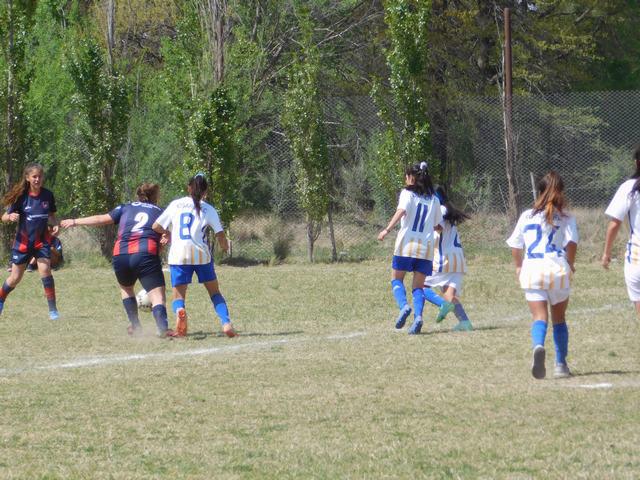 SOCIALERITAS 2 OCT (61)