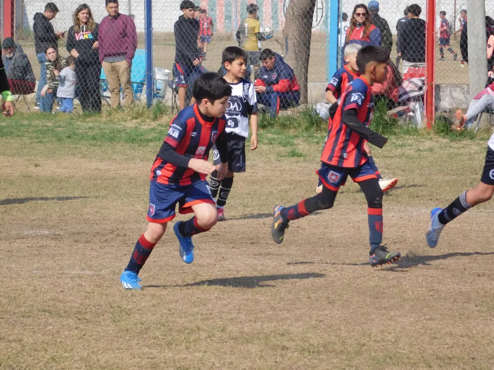 WhatsApp Image 2024-08-19 at 15.04.47 (22)