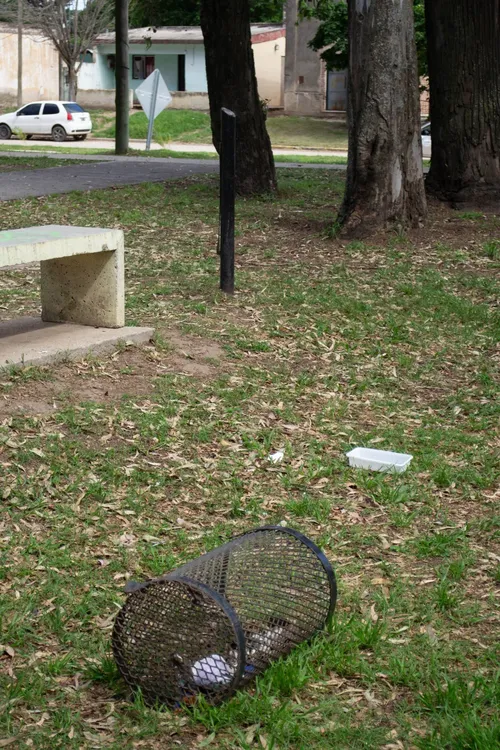 DAÑOS EN CESTOS (5)