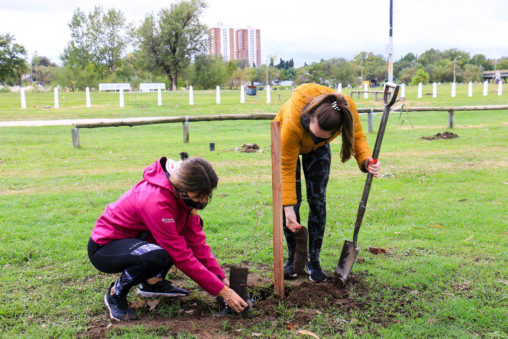 1000 nuevos arboles (2)