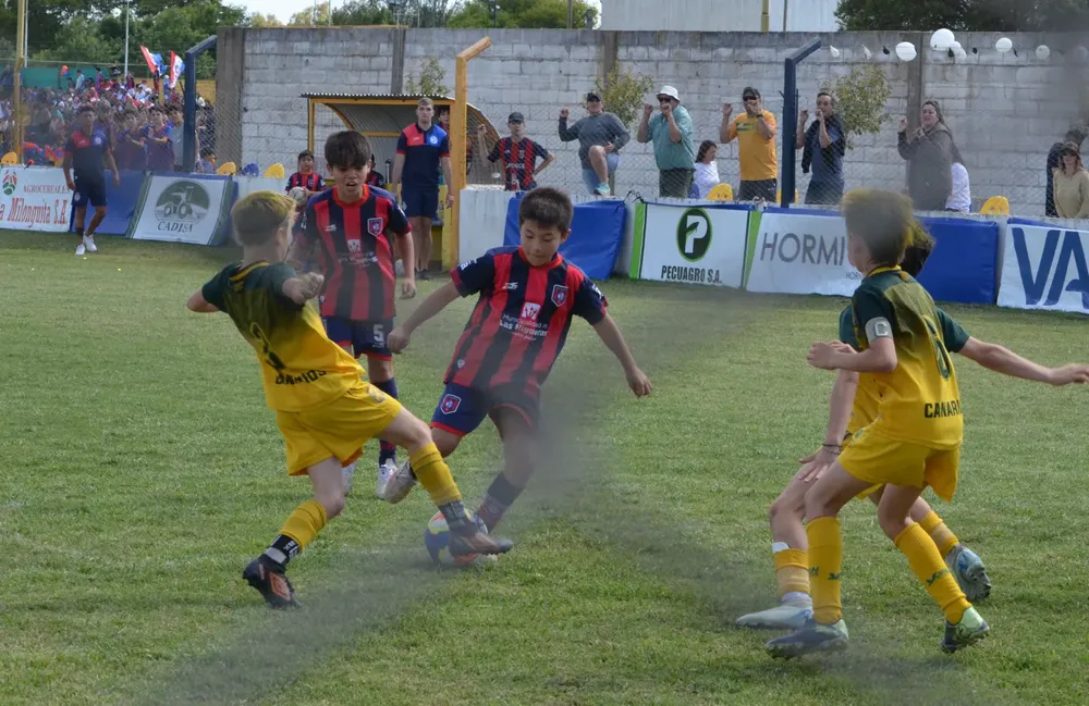 WhatsApp Image 2025-11-08 at 20.54.18 (7)