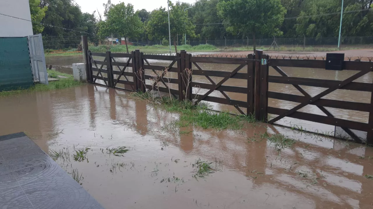 WhatsApp Image 2022-06-21 at 11.41.48 PM (2)