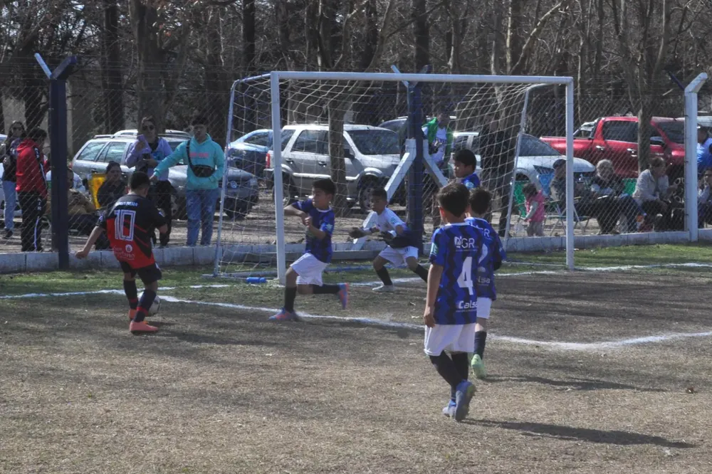 Centro Social Infanto Juvenil Renato Cesarini Olaeta Socialeritas (275)