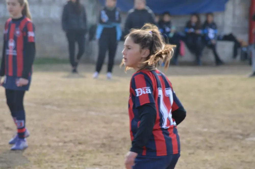 WhatsApp Image 2024-08-17 at 18.14.27