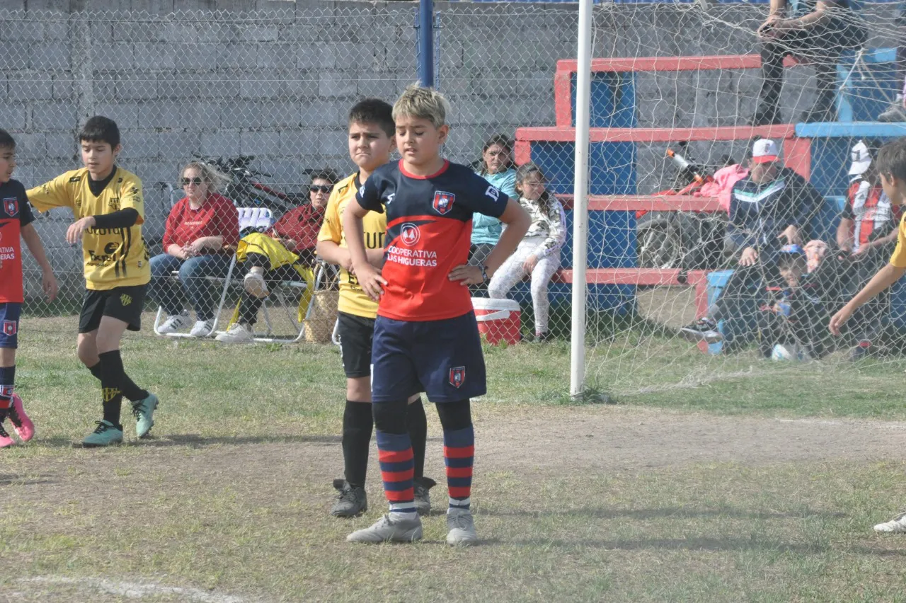 Centro Social Deportivo Municipal Acción Juvenil Socialeritas (96)