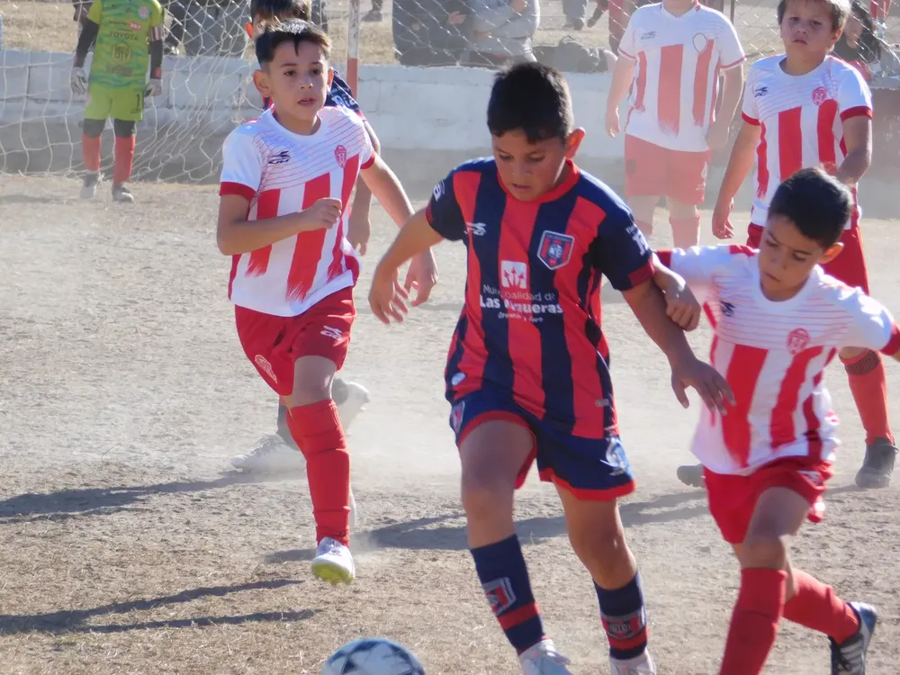 Centro Social Sp Municipal Confraternidad Infanto Juvenil (133)