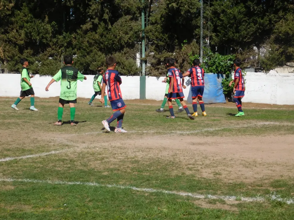 WhatsApp Image 2024-10-28 at 20.13.47 (11)