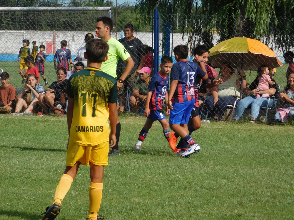 WhatsApp Image 2024-03-05 at 14.30.51 (13)