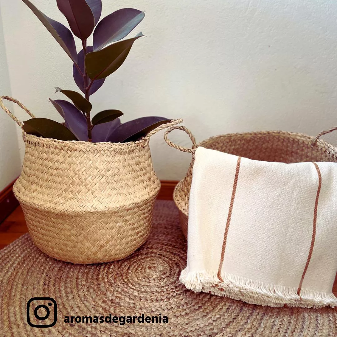 AROMAS DE GARDENIA (2)