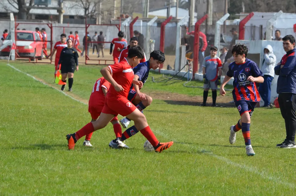 WhatsApp Image 2024-08-18 at 19.33.55 (2)