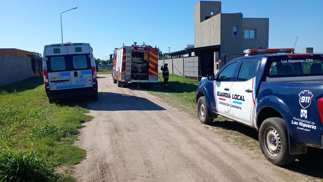 WhatsApp Image 2026-02-08 at 17.25.23