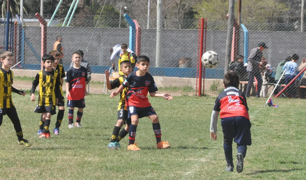 Centro Social Deportivo Municipal Acción Juvenil Socialeritas (45)