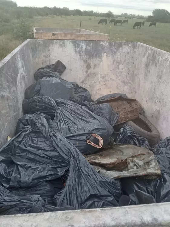 jornada de trabajo voluntario (2)