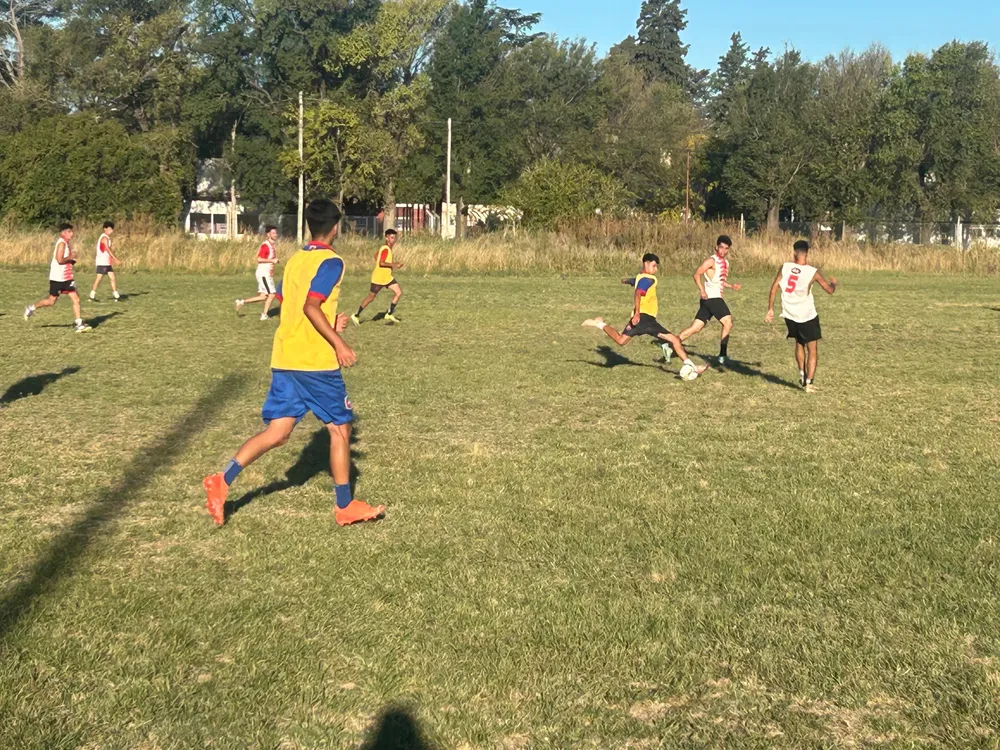 WhatsApp Image 2026-02-08 at 17.56.46