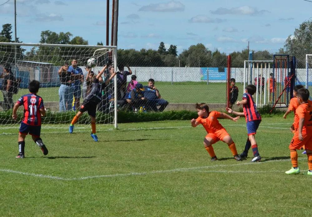 WhatsApp Image 2025-03-31 at 16.38.32 (6)