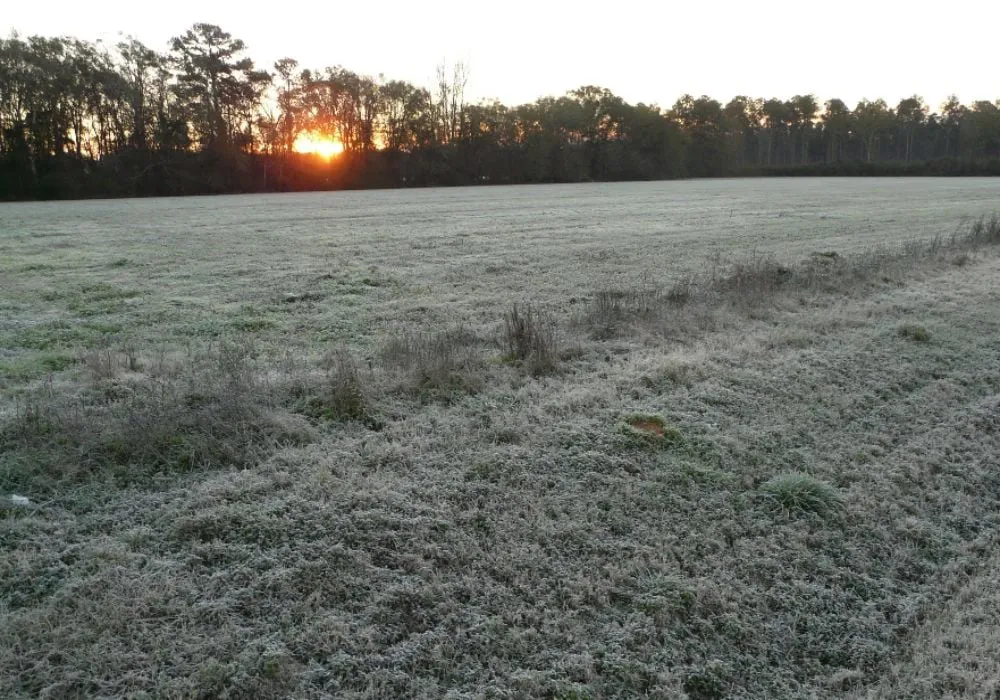 tiempo-de-heladas-8651-1_1024