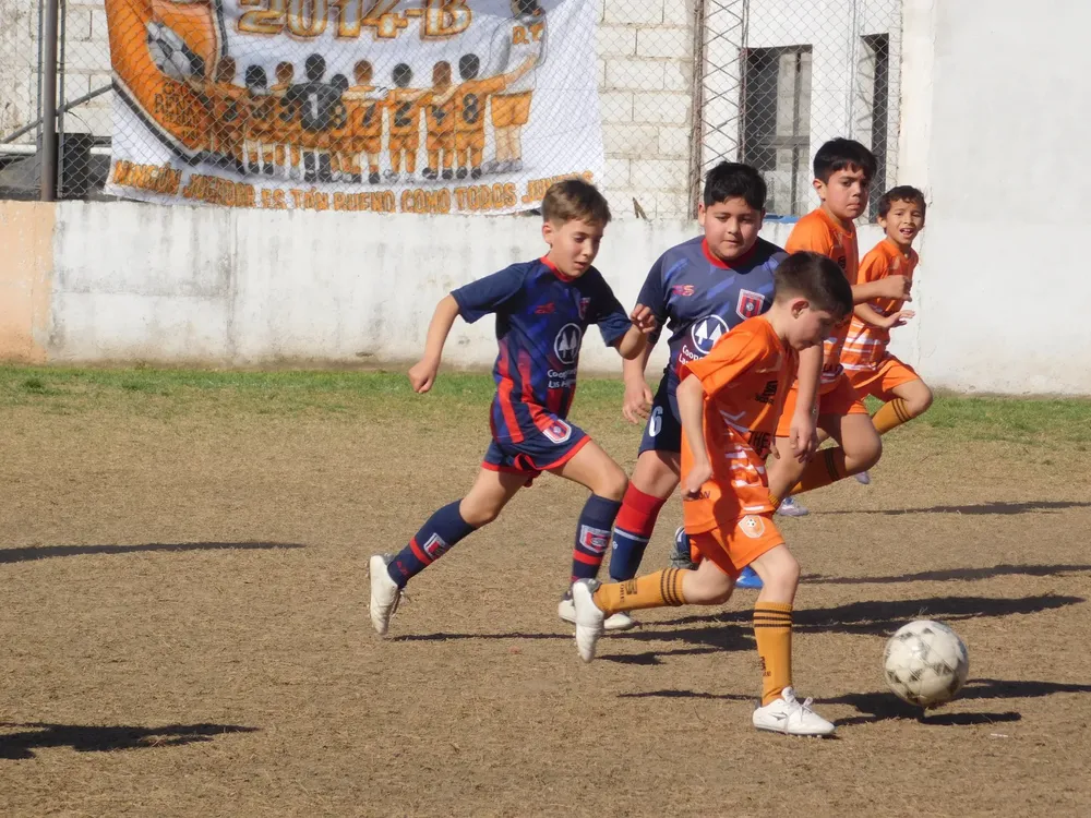 Centro Social Infanto Juvenil Renato Cesarini Olaeta Socialeritas (212)